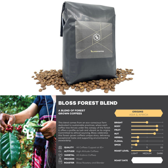 Bloss Forest Blend