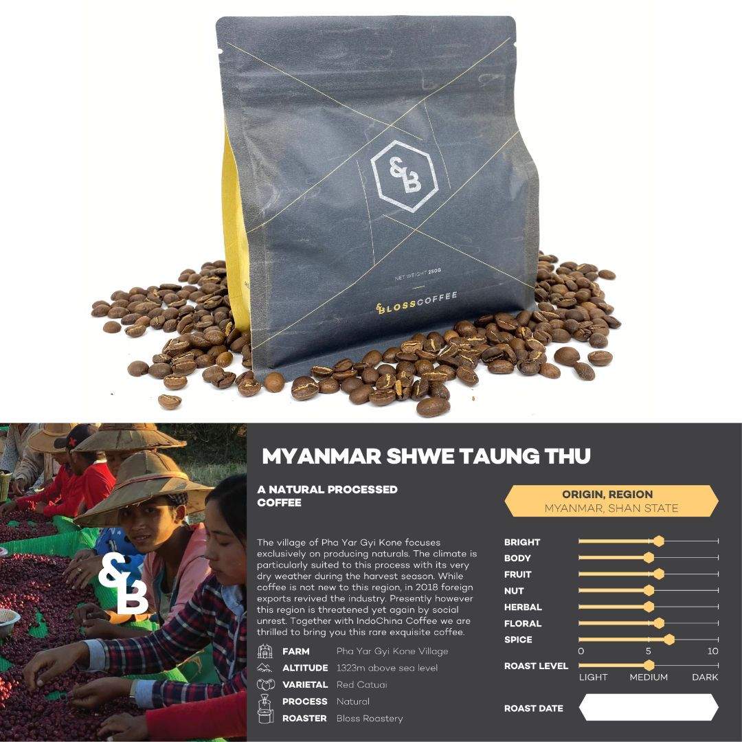 Myanmar Shwe Taung Thu-andBloss-coffee,single origin coffee